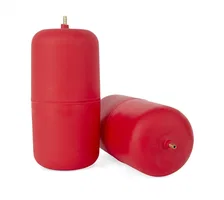 1000 Air Spring Kit for Ford Maverick image 3