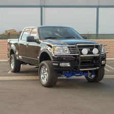 Polished Stainless Grille Guard, Select Ford F-150, Lincoln Mark LT image 4