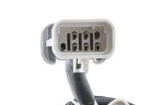 EFI And LS Harness - Pro 600 image 4