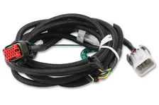 EFI And LS Harness - Pro 600 image 2
