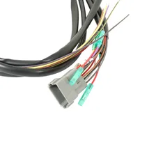 DIS-4 Plus Distributorless 4-Channel image 5