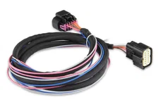 LS Ignition Control - Black image 5
