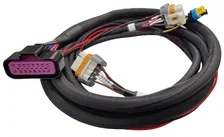 Replacement Harness - MSD 6014 LS Control image 2