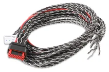 Coil Harness - Pro 600 image 2
