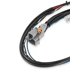 Midget DIS-2 Programmable Race Ignition image 4