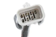 EFI And LS Harness - Pro 600 image 5