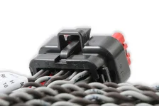 Coil Harness - Pro 600 image 4