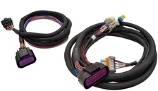 Replacement Harness - MSD 6014 LS Control image 1