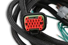 EFI And LS Harness - Pro 600 image 3