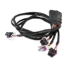 Circle Track LS Ignition Control image 9
