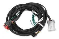 EFI And LS Harness - Pro 600 image 1