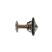 Thermostat - 180 Degree image 4