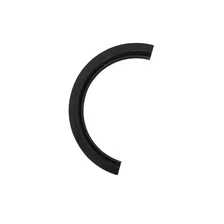 Rear Main Seal image 3
