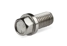 Stainless Steel Header Bolts image 2