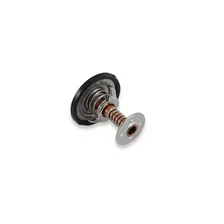 Thermostat - 180 Degree image 3
