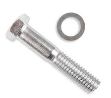 Water Pump Bolts - Chrome image 1