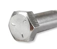 Water Pump Bolts - Chrome image 2