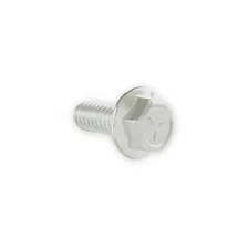 Oil Pan Bolts image 3