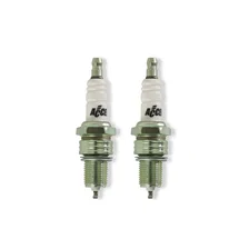 Spark Plugs - Platinum - Evolution - .040" Gap - 2 Pack image 1