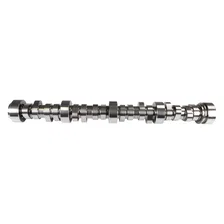 FSL 210/218 Hydraulic Roller Cam for GM LS GEN III/IV image 6