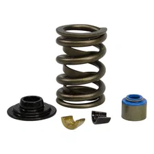 Valve Spring Kit for Ford GT40 / GT40P Cylinder Head image 2