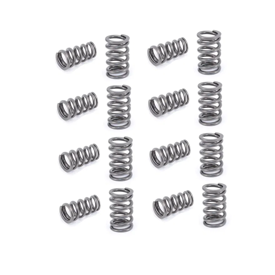Engine Valve Spring Kit