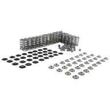 Beehive .600" Max Lift Spring Kit w/ Chromemoly Retainers for '18+ Ford Coyote image 1
