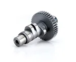 Harley Big Twin Evolution 252/252 at .053.
