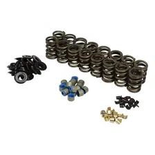 Valve Spring Kit for Ford GT40 / GT40P Cylinder Head image 1