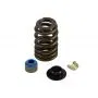 .510" Lift Beehive Valve Spring Kit for GM Vortec Hydraulic Flat Tappets image 2