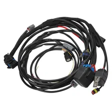 Pro-Flo 4+ #36110 EFI engine management for 2011-14 Ford Coyote Engine Swap image 6