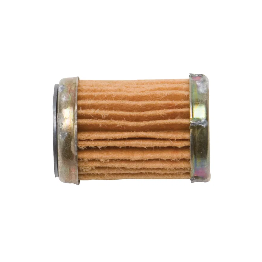 Fuel Filter for 4MV Q-Jet