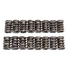 Sure Seat Valve Springs image 1