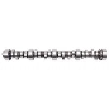 Rollinâ€™ Thunder Camshaft for 1997-04 LS1/LS6 (Gen III) image 1