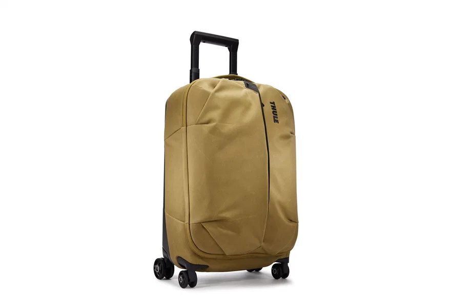 Aion Carry-On/Spinner
