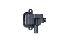 Coil Flame-Thrower GM LS1/LS6 image 2