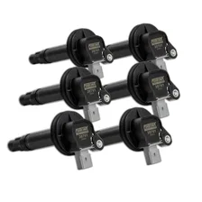 Coil Flame-Thrower Ford V6 EcoBoost 3.5;2-Pin Gray;Set of 6; 2010-12 image 1