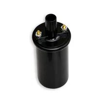 Ignitor Ford 4 cyl image 3