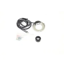 Ignitor 6v Pos Gnd image 1