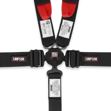 CAMFX 5PT 2x2" Harness image 5