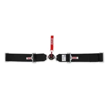 Racing Lever Camlock Harness image 3