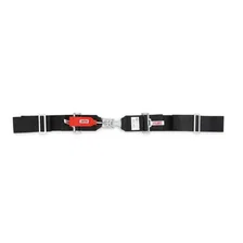 Racing Sport Latch and Link Harness image 4