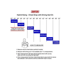 Racing Hybrid Sport image 3