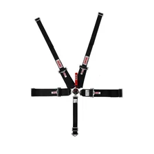 Racing Lever Camlock Harness image 1
