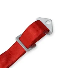 Racing  Latch and Link Lap Wrap-Around 5-Point Pull-Down Harness image 2