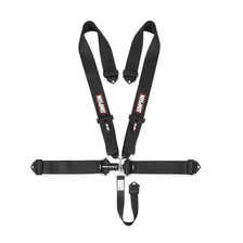 Racing Latch FX2 Belt image 1