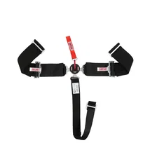 Racing Drag Camlock Harness image 3