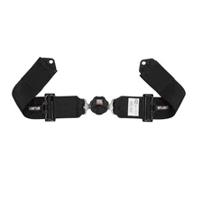 Racing 3" Camlock Harness image 4