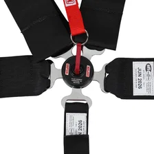 Racing Lever Camlock Harness image 2