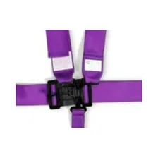 Latch & Link 5 Point Harness Set image 2
